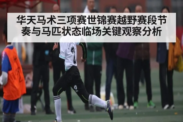 华天马术三项赛世锦赛越野赛段节奏与马匹状态临场关键观察分析